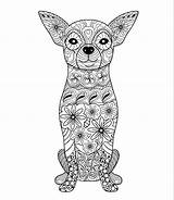 Coloring Pages Chihuahua Adult Dog Animal Mandala Colorear Para Perro Choose Board Perros Color Awesome Animales Unavailable Item sketch template