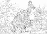 Kangaroo Kangourou Wallaby Animal Zentangle Coloriage Stiliserade Mandalas Canguros Outback Coloration Animales Illustrationen Vektorn Canguro Malen Animalitos Illustrationer Stylisé sketch template