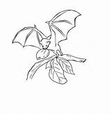 Coloring Pages Bat Kids sketch template