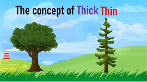 thick  thin concept  kids comparison  thick  thin  kidspre math concepts youtube