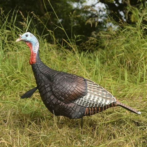 prairiewind decoys free shipping jake turkey decoy eastern by