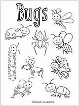 Coloring Bugs Pages Kids Bug Insects Colouring Printable Easy Little Insect Preschool Template Kindergarten Sheets Sheet Preschoolers Book Summer Spring sketch template