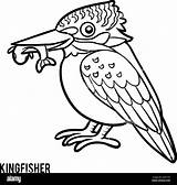 Kingfisher sketch template