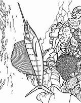 Zwaardvis Coloring Swordfish Kleurplaten Kleurplaat Schwertfisch Malvorlage Stemmen Stimmen sketch template