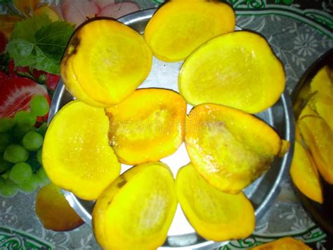 season  mango   stock photo image  superb