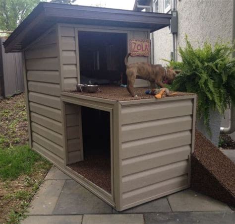story doghouse  ramp luxury dog house dog house diy dog house plans