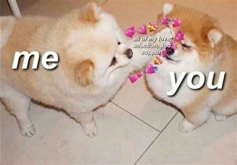 Wholesome Memes💞💗 On Instagram Tag Someone You Love Wholesome