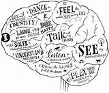 Nervous Neuroscience Lobe Occurs Neuroanatomy Wiring Visions Psychology Aberta Pensare Fakta Otak Manusia 7th Thoughtful Student Spinal Mistakes Puzzles Neurobiology sketch template