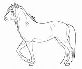 Paarden Paard Tekenen Uitprinten Downloaden sketch template