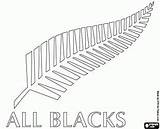 Rugby Blacks Emblem Fern sketch template