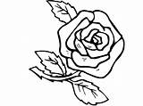 Flori Colorat Planse Trandafiri Trandafir Desenat Desene Copilul Floare Educatie Buchet Mama Plansa și sketch template