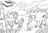 Mewarnai Gambar Sapi Binatang Kebun sketch template