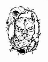 Pitbull Pitbulls Bull Tatoeages Stier Skull Bully Coloringfolder Clipartmag sketch template
