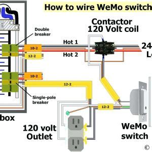 cat keystone jack wiring diagram  wiring diagram