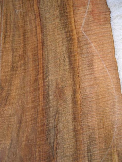 mango wood santaroz luthier supplier