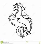 Hippocampus Kelpie Mythical Designlooter Seahorse sketch template