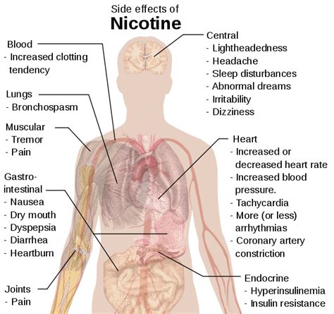 Cigarette Smoking The Side Effects Of Nicotine Raging