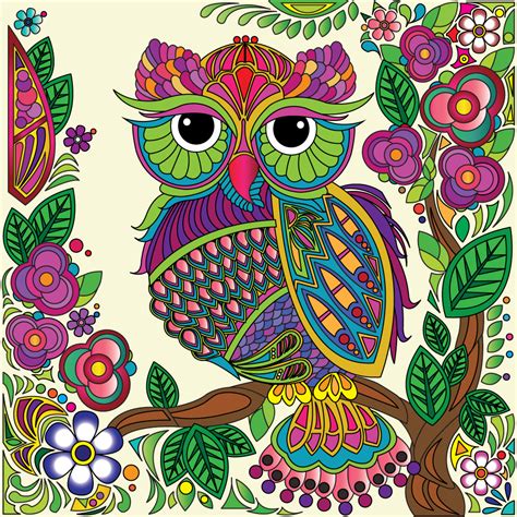 mandala owl coloring pages colored    rule  thumb