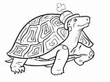 Coloring Tortoise Pages St Preschool Printable Patrick Patricks Gopher Hare Galapagos Kids Getdrawings Getcolorings Color sketch template