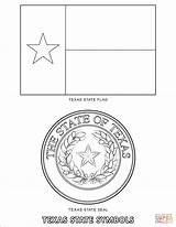  sketch template