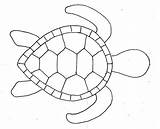 Tortugas Aboriginal Tortuga Dibujos Colorear Stencil Turtles Coloring Cubismo Picasso Carving Etnia Tortue Tallas Faciles Hueso Tatuajes Hawaianos Garras Oso sketch template