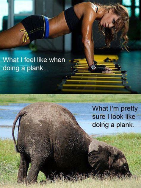 Funniest Fitness Memes From Instagram The Fit Girl