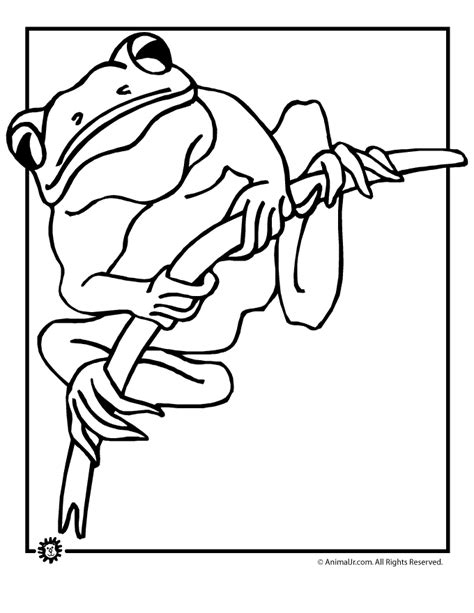 tree frog coloring page woo jr kids activities childrens publishing
