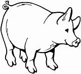 Pig Coloring Pages Kids Color Funny Animals Colouring Printable Pigs Farm Print Animal Creature Pot Craft sketch template