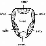 Buds Senses Tongue Clipground sketch template