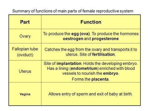 The Male And Female Reproductive Systems Oben Science 7e