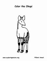 Okapi sketch template