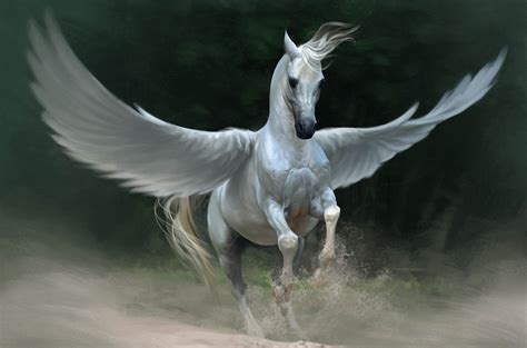 Pegasus Beautiful Wallpapers Images Desktop Background In