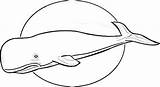 Sperm Whale Cachalots Grands Clipartmag Drawing Coloriages Printmania sketch template