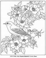 Coloring Bird Pages Flower State Flowers Adult Birds Book Printable Bloemen Kleurplaat Vogel Eastern Van Kleurplaten York Dover Publications Bluebird sketch template