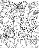 Coloring Pages Gardening Colouring Kids Print Vegetable Butterfly Sheets Printable Gardens Book Vegetables Printablecolouringpages sketch template