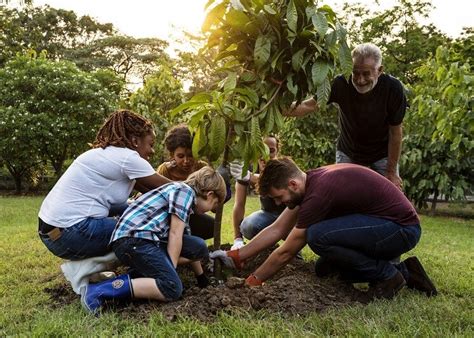 tree planting schemes  working  eco experts