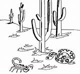 Desert Coloring Tumblr Para Desierto Coloringcrew Pages Colorear Dibujos Getdrawings Cactus Drawing Zarza Isabel Chamorro sketch template