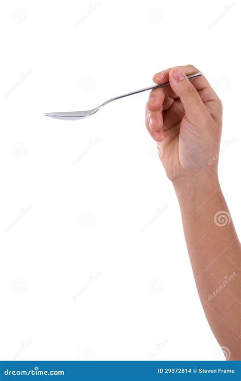 hand holding spoon stock photo image  silverware woman