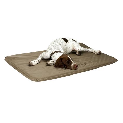 lectro soft large outdoor heated dog bed   home depot