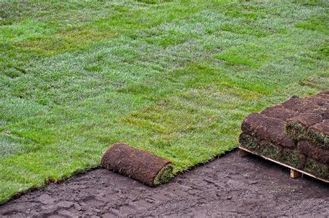 perfect landscaping sod installation  perfect landscaping