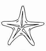 Starfish Coloring Pages Print Color sketch template