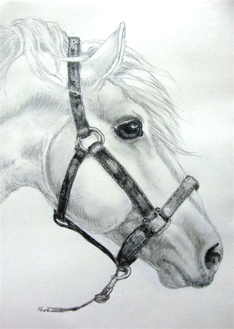 pin van juanyer cedeno op dibujos   paard tekeningen dieren tekenen tekenen