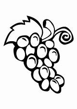 Uvas Cacho Grapes Grape sketch template