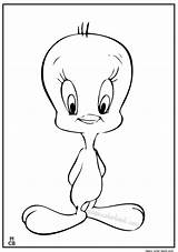 Sylvester Tweety Coloring Pages Bird Cat Drawing Clipart Comments Library Coloringhome sketch template