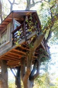 livable tree houses