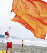 Image result for 海岸での旗取り. Size: 166 x 185. Source: www.townnews.co.jp
