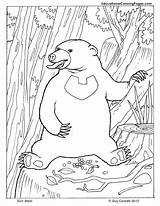Sun Coloring Bear Mammals Bears Lineart Colouringpages Coloringhome sketch template