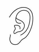 Ear Clip Lobe Human Illustrations Icon Clipground Stock sketch template
