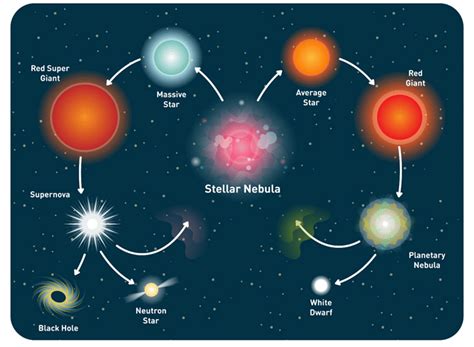 life cycle  stars gcse physics revision