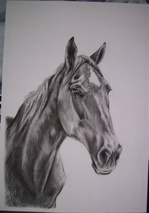 Ritratti a matita, carboncino e olio su tela. Ritratti su Commissione Galleria: Ritratti di Cavalli, Quadri di